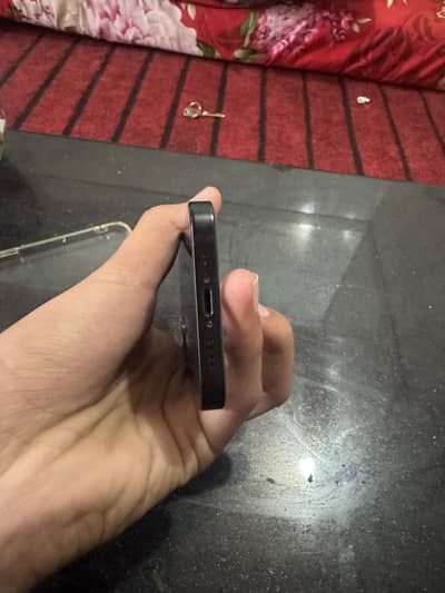 12  mini 4 months sim Working