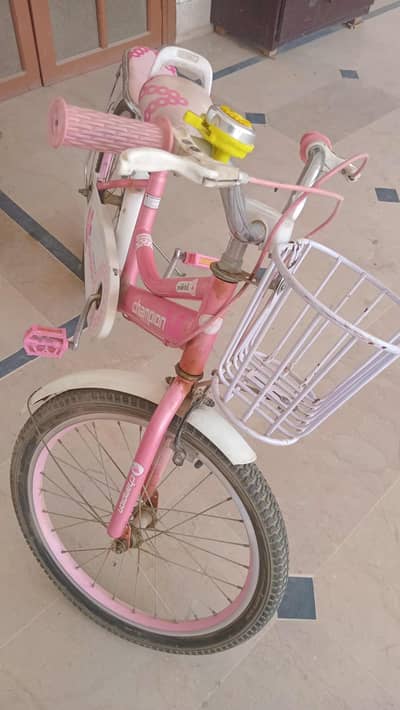 baby cycle
