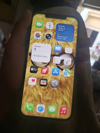 Apple iPhone 12 Pro Max