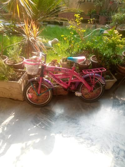 girls cycle 6to10 yrs
