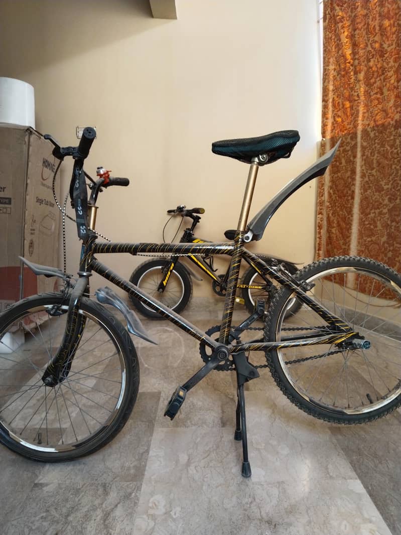 bicycle 0