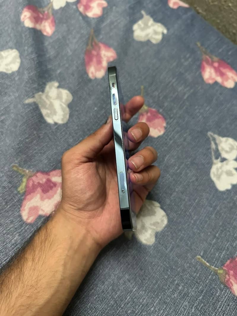 iPhone 12 Pro 5