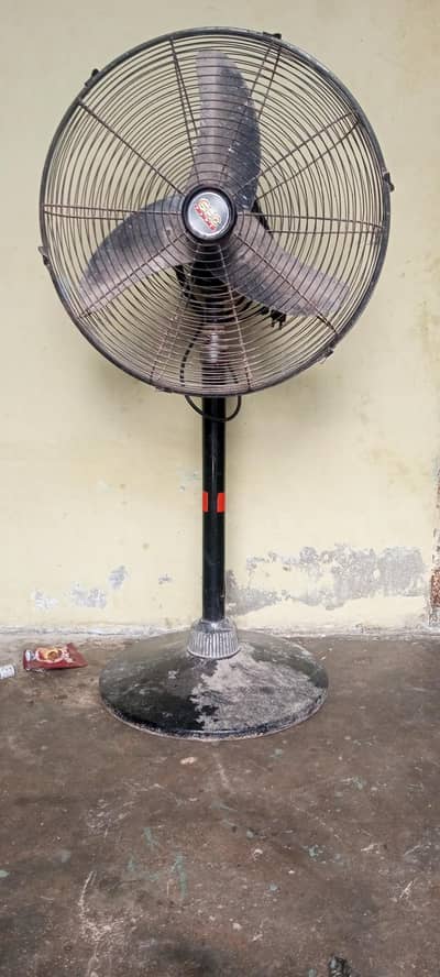 tabilefan