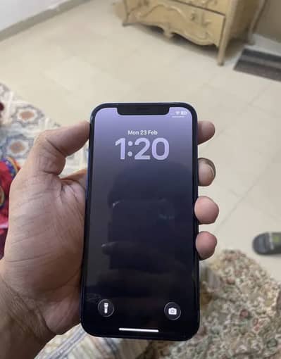 Apple iPhone 12
