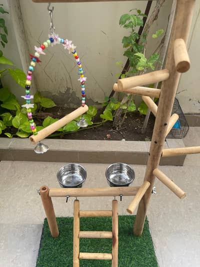 parrots stand cage