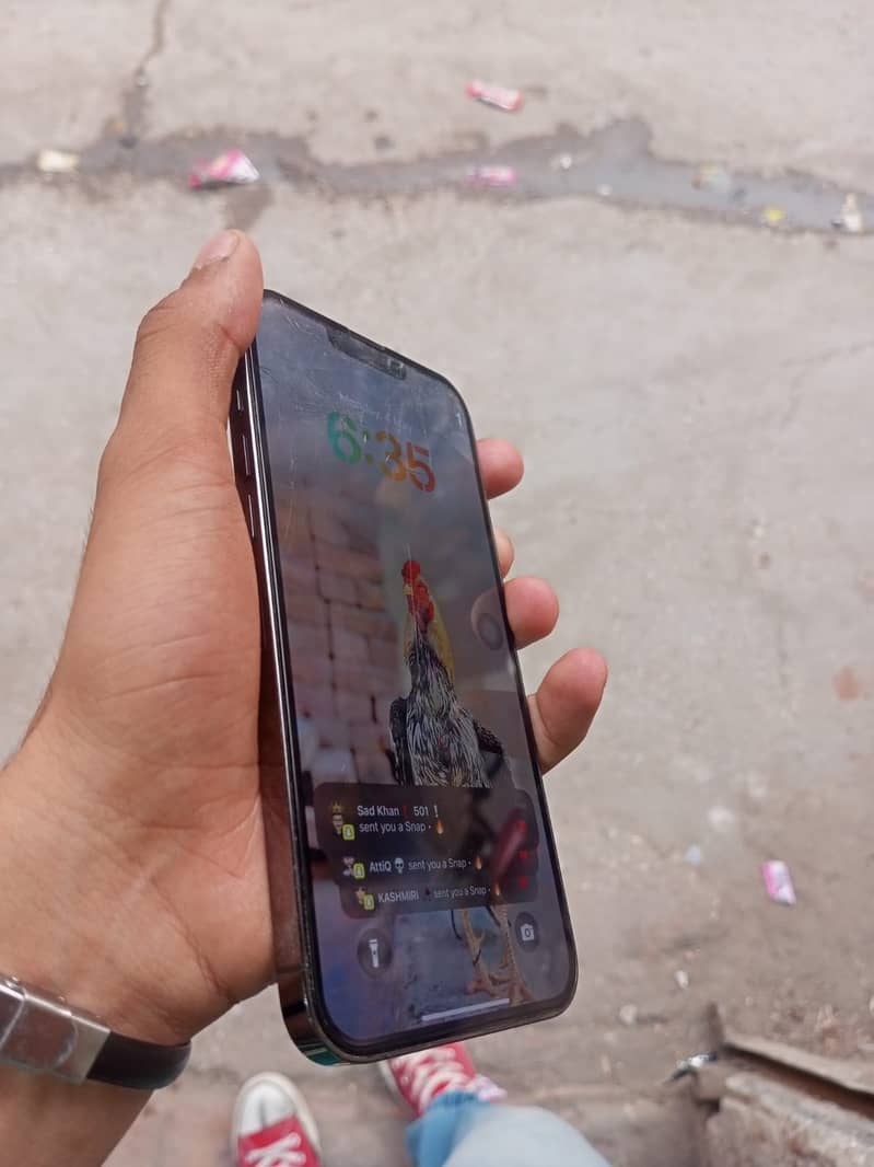 Apple iPhone 13 Pro Max 4
