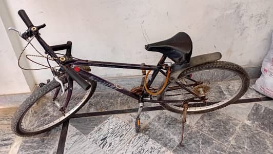 Double Gear Sports Bicycle For Sale in Good Price