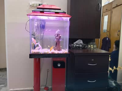 Aquarium For Sale (With Stand, Filter and Gravel Only)