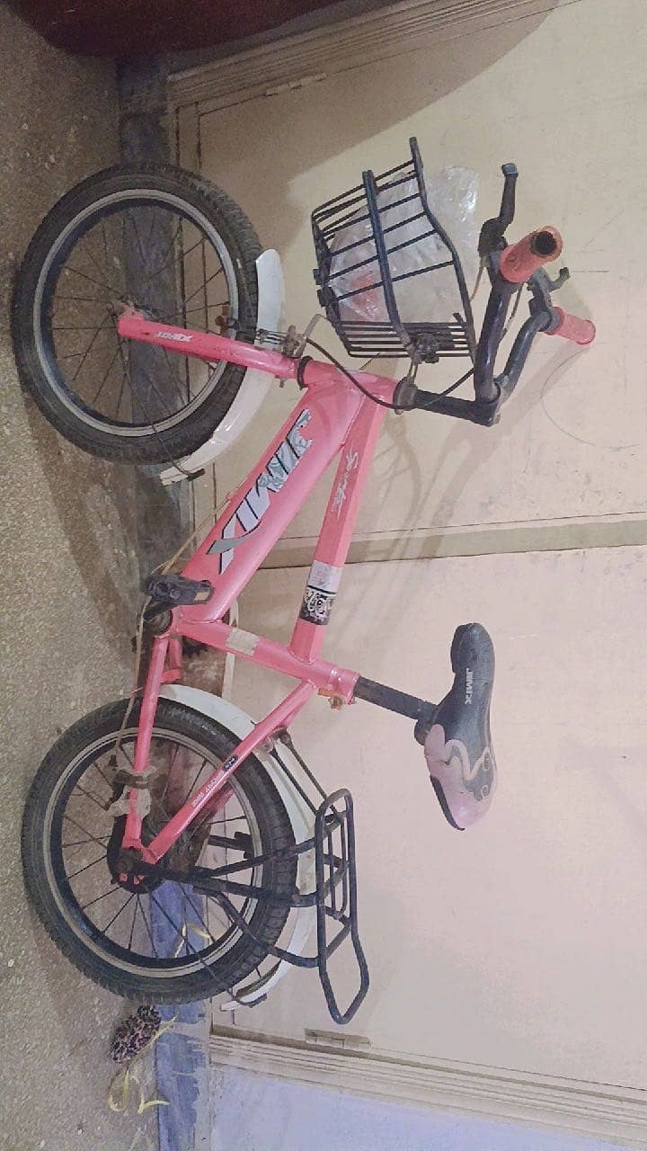 bicycle 0