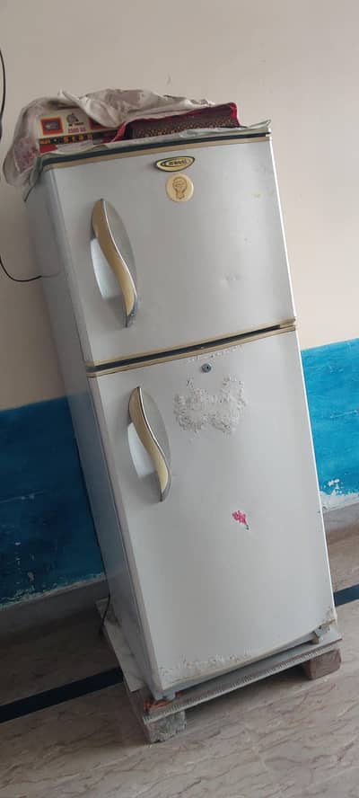 waves fridge