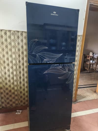 Electrolux glass Fridge