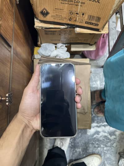 Iphone 12 Pro Max