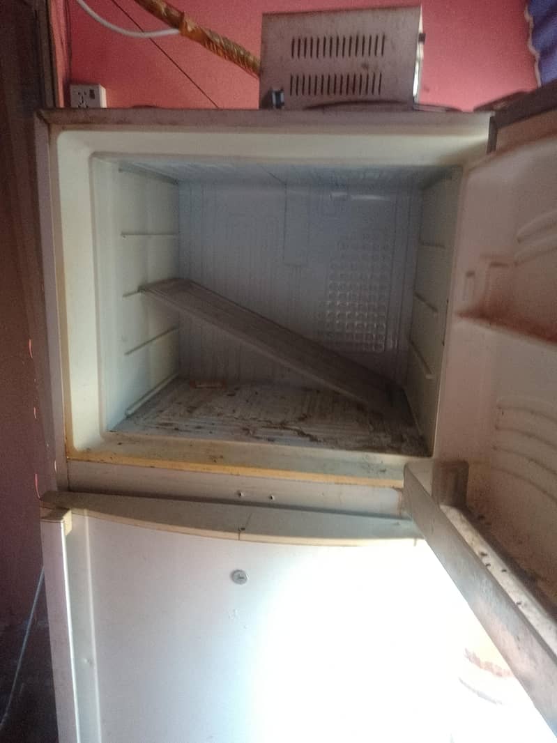 Fridge 1