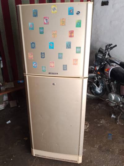 pel used fridge achi condition 03025101054