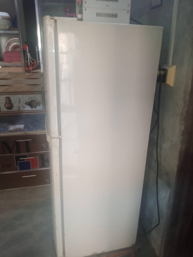 Medium Size 2