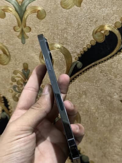 Iphone 12 pro max factory unlock