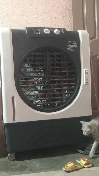 room cooler
