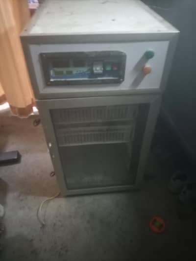 incubator for hen eggs 300