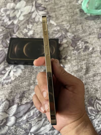 Apple iPhone 12 Pro Max