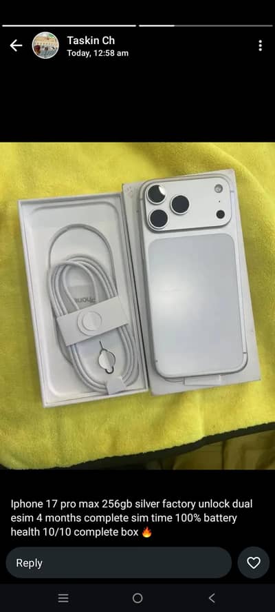 17 pro max Factory phy+esim silver 10/10