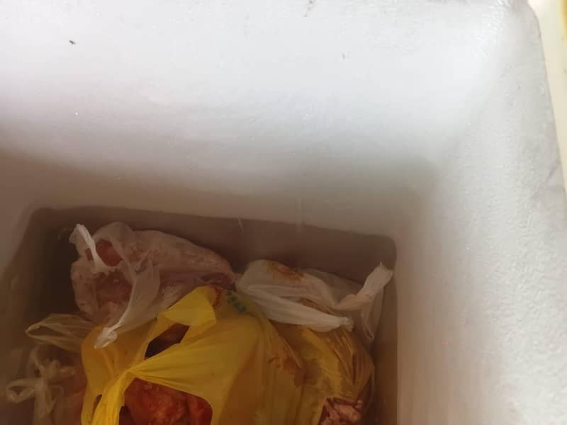 waves deep freezer 0