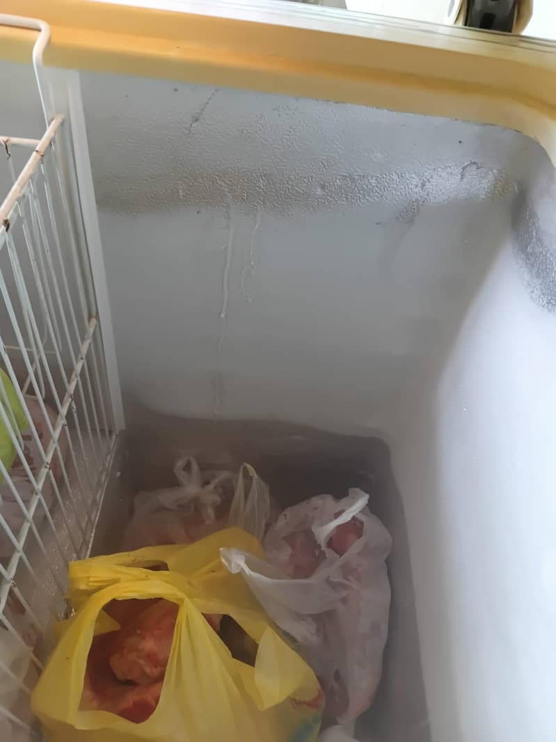 waves deep freezer 1