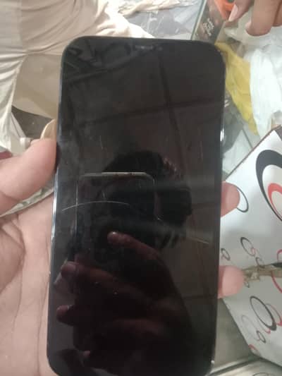 Apple iPhone 12 Pro Max