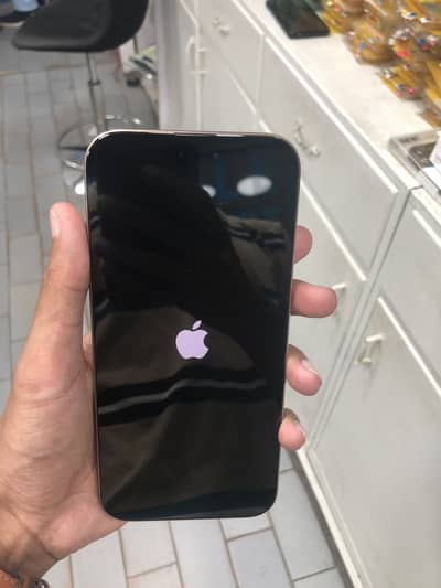 Apple iPhone 16 Pro Max