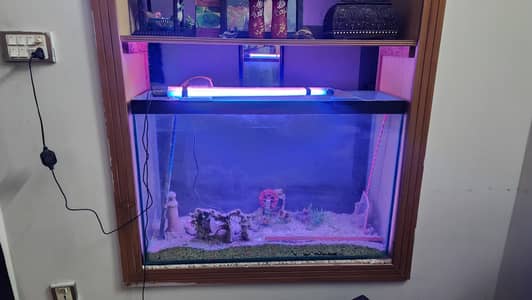 Aquarium with Accessories