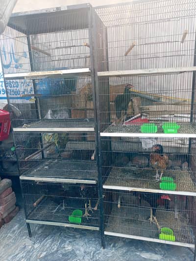 cages for sale