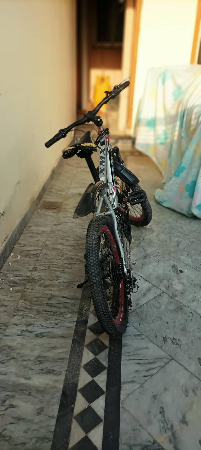 Cycle XMX 0
