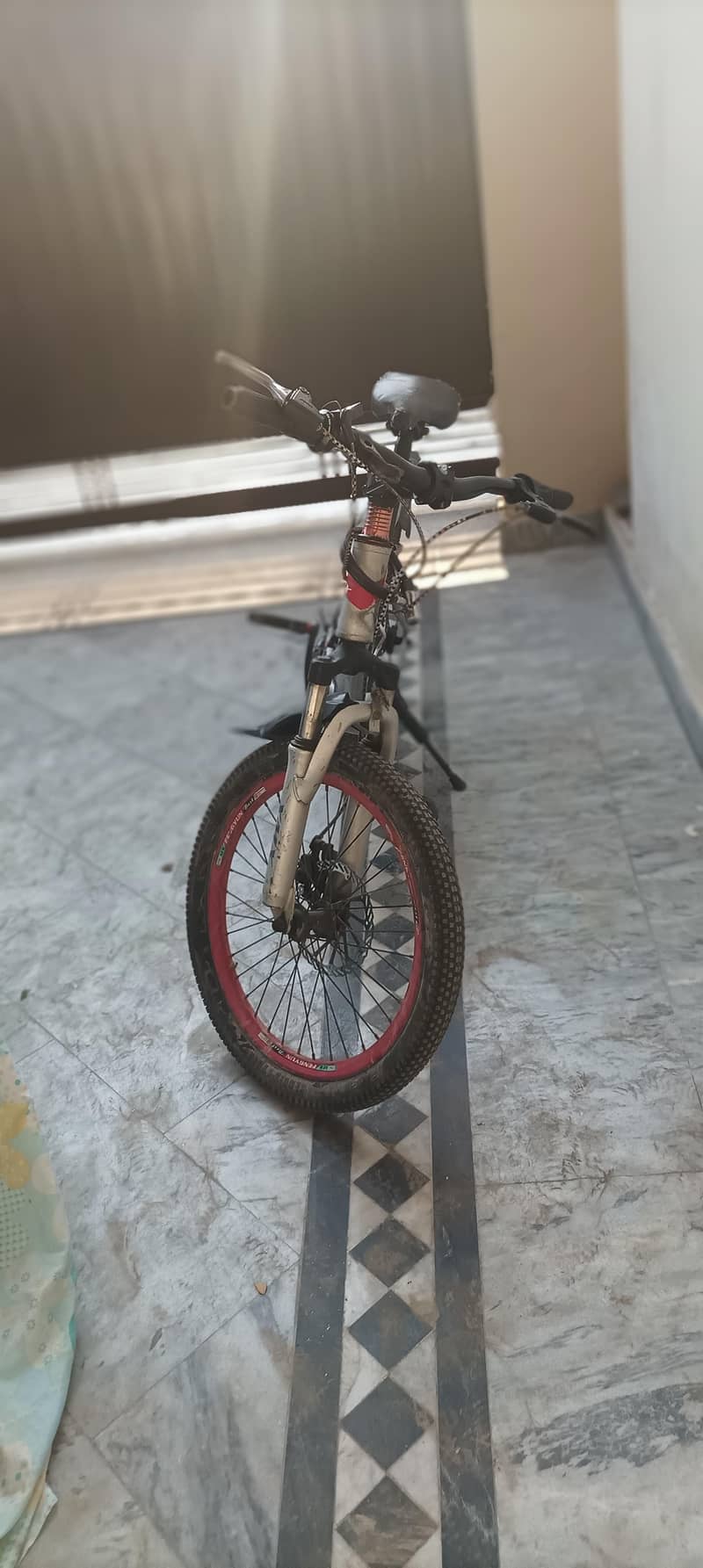 Cycle XMX 4