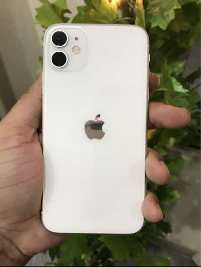 Apple iPhone 11 Jv