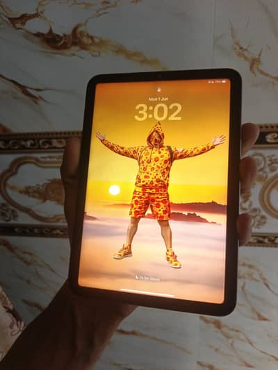 Ipad mini 6 256/gb