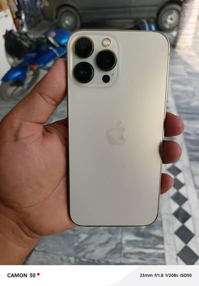 Apple iPhone 13 Pro Max