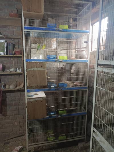 angle cage and folding cage