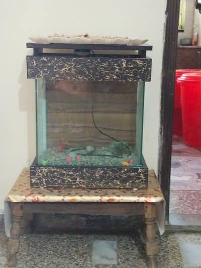 aquarium