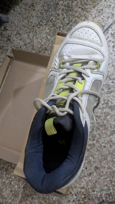 SH shoes for running and cricket