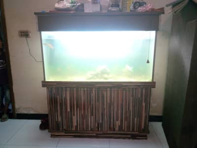 FISHIS AQURIAM