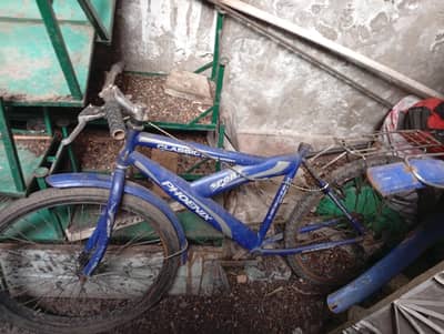 all ok cycle