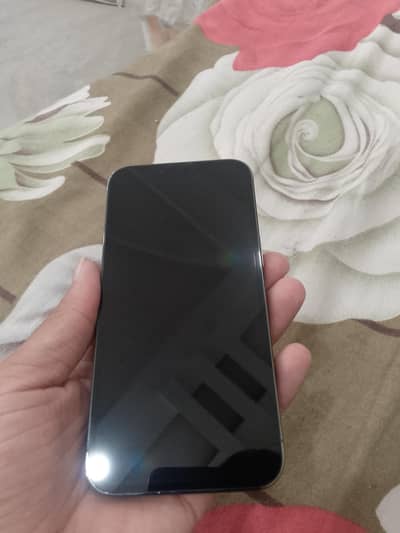 Apple iPhone 13 Pro