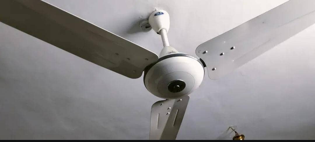 ceiling fan 1