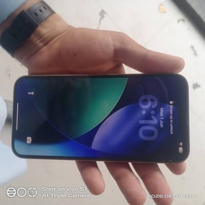 Apple iPhone 13 Pro Max