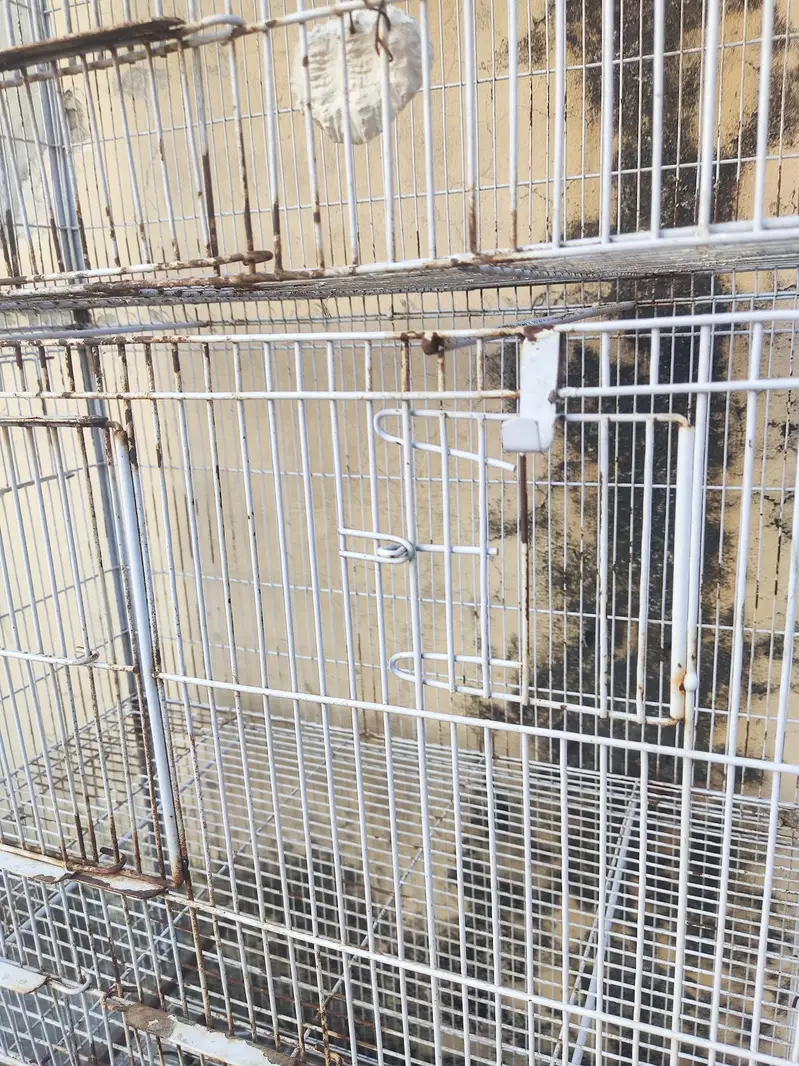 Tower Cage for sale — photo 10