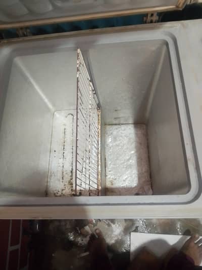 Deep Freezer 2 Door