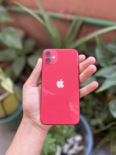 Apple iPhone 11