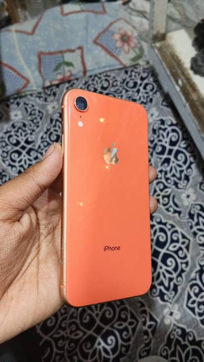 Iphone XR (Waterpak)