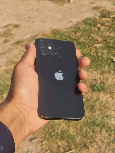 Apple iPhone 12
