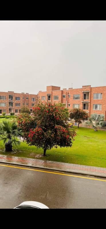 Bahria Orchard D Block 5 Marla Flat New Awami Villas 2nd Floor Facing Park
