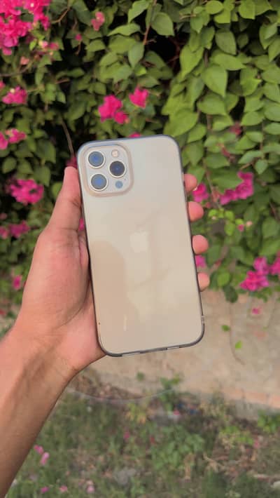 IPhone 12 Pro Max Golden / 128GB / 100% BH / clean 10/10 condition